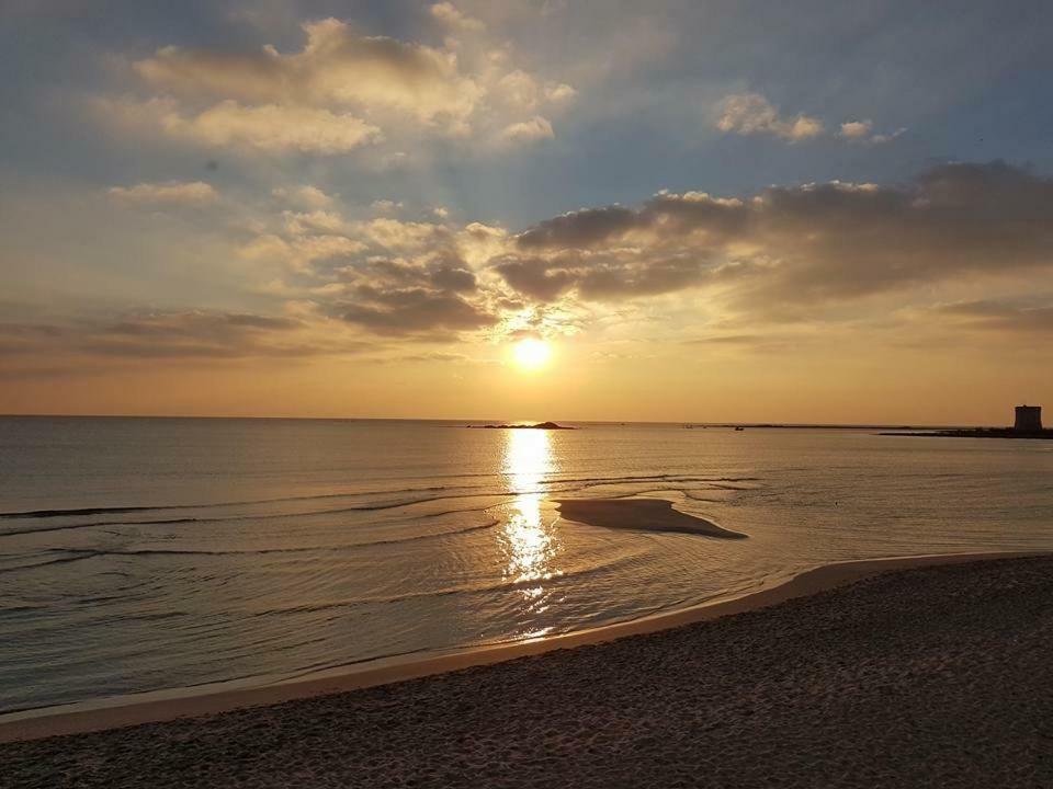 VeV salento Bed & Breakfast Porto Cesareo Eksteriør bilde