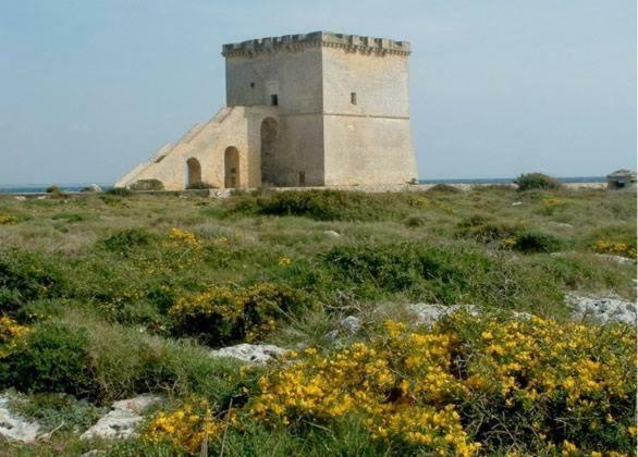 VeV salento Bed & Breakfast Porto Cesareo Eksteriør bilde